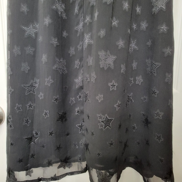 Super cute Topshop dress.  Black,  sheer  with rose embroidered embellishments. - Picture 6 of 10